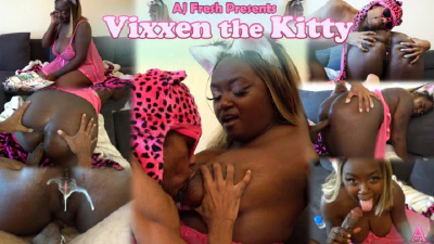 Cover for 'Vixxen the Kitty'